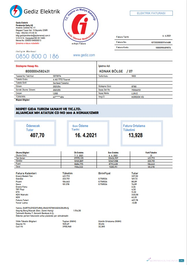 download Turkey Gediz Elektrik utility bill template in Word and PDF format, fully editable PDF template
